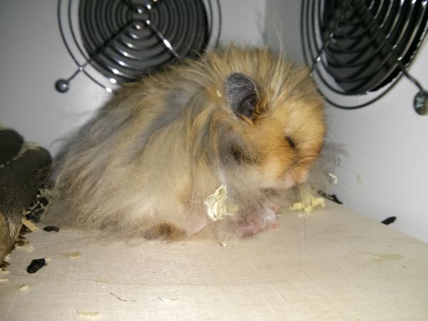 IMG 20140321 214809b