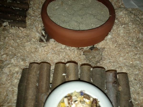 sonstiges hamster5 img0151