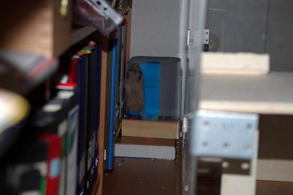 sonstiges hamster5 img0354