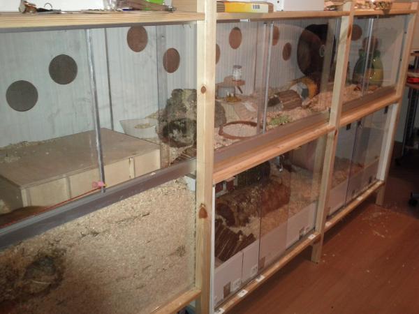 sonstiges hamster3 img0005