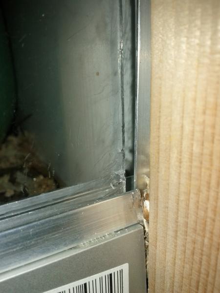 sonstiges hamster3 img0040