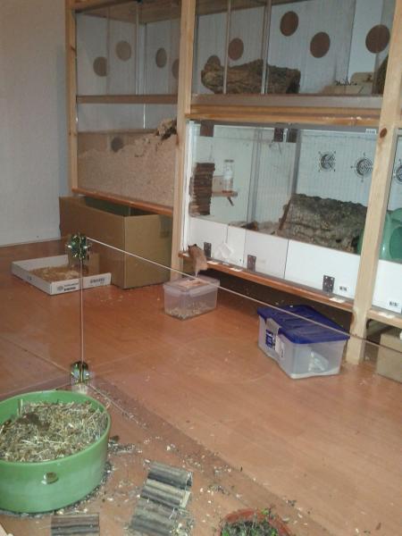sonstiges hamster4 img0046