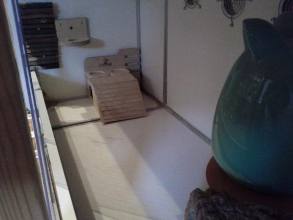 sonstiges hamster5 img0545
