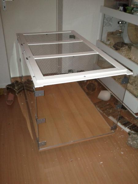 sonstiges hamster5 img0322
