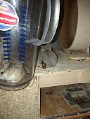 sonstiges hamster5 img0556