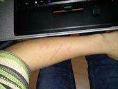 IMG 20140206 214818b