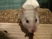 IMG 20140223 185316b