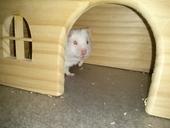 IMG 20140223 192229b