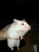IMG 20140924 221100b