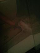 hamster 2013 img0111