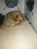 IMG 20140321 214735b