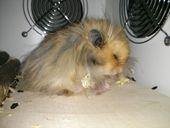 IMG 20140321 214809b