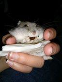 IMG 20140106 185539b