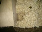 IMG 20140207 084411b