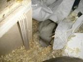 IMG 20140223 203720b