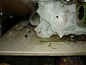 sonstiges hamster5 img0612