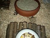 sonstiges hamster5 img0151
