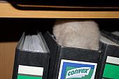 sonstiges hamster5 img0180
