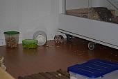 sonstiges hamster5 img0189