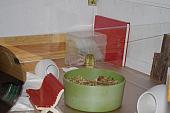 sonstiges hamster5 img0296