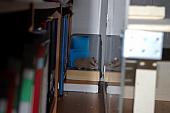 sonstiges hamster5 img0355