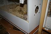 sonstiges hamster5 img0414