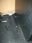 sonstiges hamster5 img0450