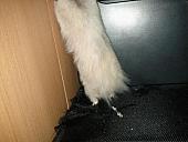 sonstiges hamster5 img0452