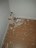 sonstiges hamster5 img0461