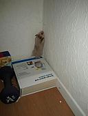 sonstiges hamster5 img0487