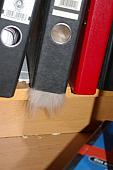 sonstiges hamster5 img0527
