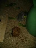 bIMG 20150723 074510