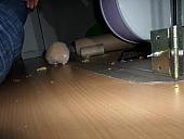 hamster 2013x2 img0018