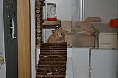 sonstiges hamster5 img0568