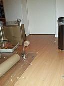 sonstiges hamster5 img0624