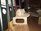 sonstiges hamster5 img0629