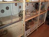 sonstiges hamster3 img0005